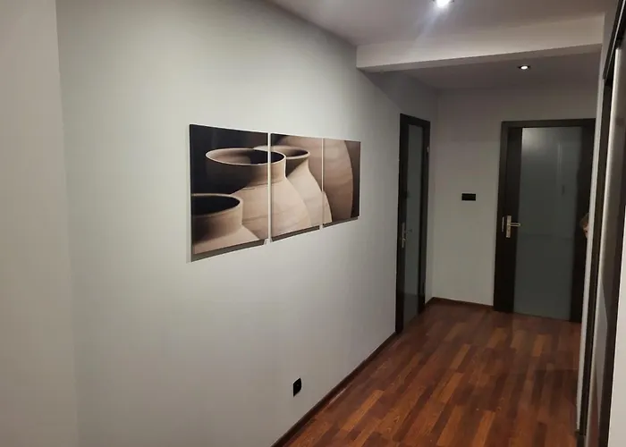 Lemuria Przytulny Chojnowska *